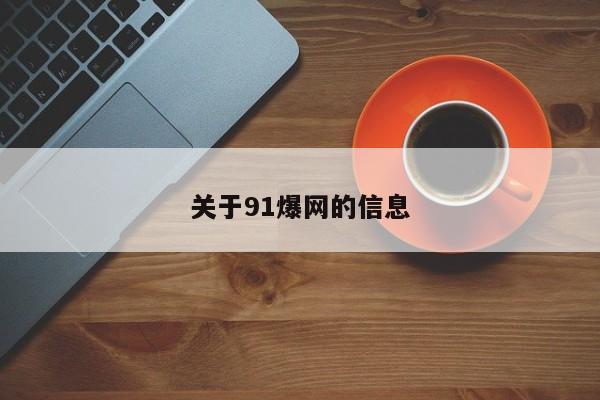 关于91爆网的信息