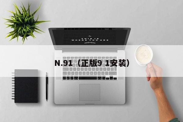 N.91(正版9 1安装)