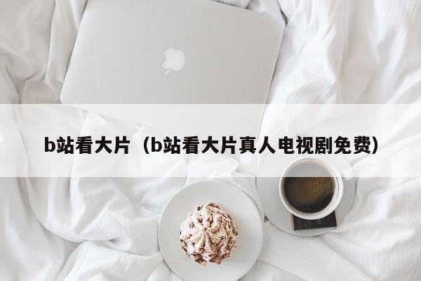b站看大片(b站看大片真人电视剧免费)