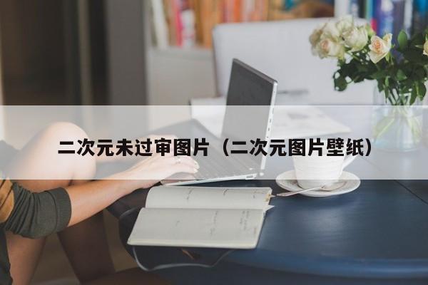 二次元未过审图片(二次元图片壁纸)