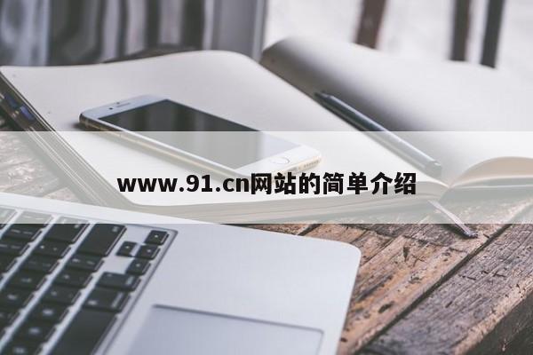 www.91.cn网站的简单介绍