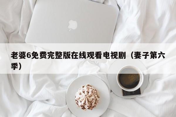 老婆6免费完整版在线观看电视剧(妻子第六季)