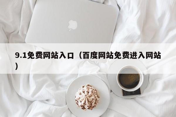 9.1免费网站入口(百度网站免费进入网站)