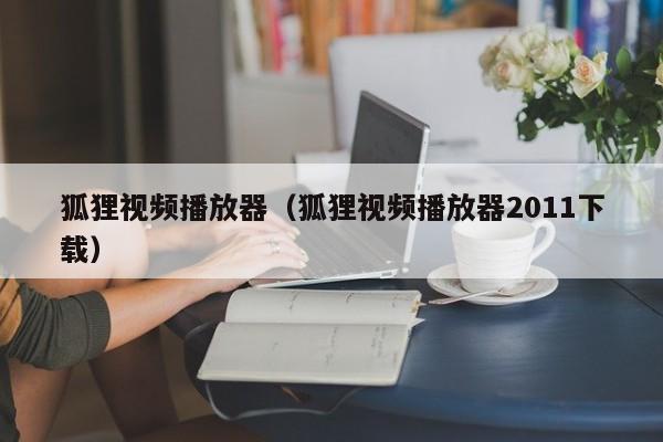 狐狸视频播放器(狐狸视频播放器2011下载)
