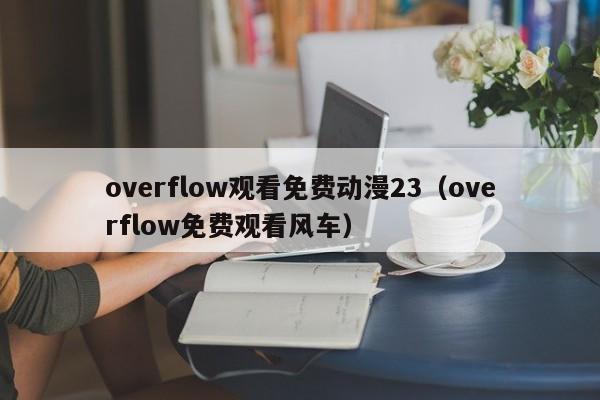 overflow观看免费动漫23(overflow免费观看风车)