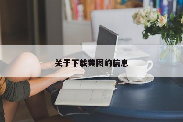 关于下载黄图的信息
