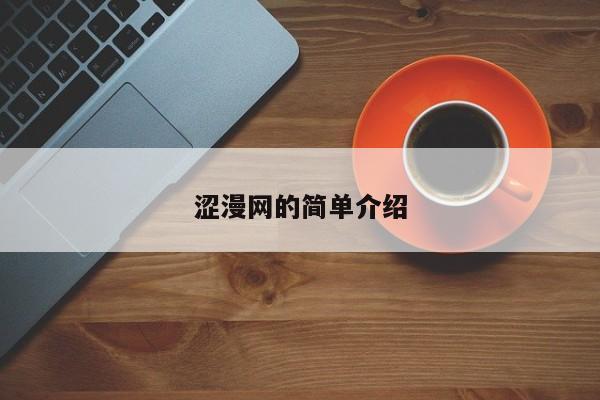 涩漫网的简单介绍