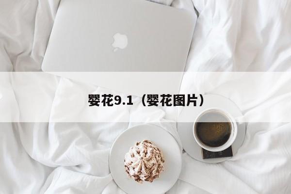 婴花9.1(婴花图片)