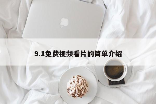9.1免费视频看片的简单介绍