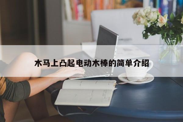 木马上凸起电动木棒的简单介绍