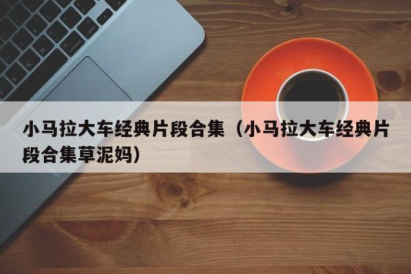 小马拉大车经典片段合集(小马拉大车经典片段合集草泥妈)