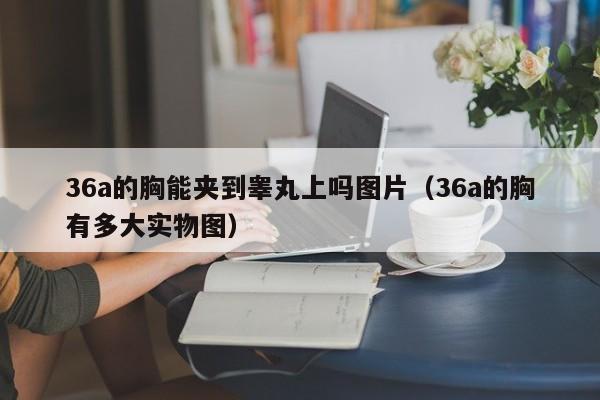 36a的胸能夹到睾丸上吗图片(36a的胸有多大实物图)