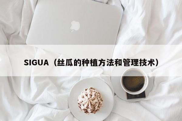 SIGUA(丝瓜的种植方法和管理技术)