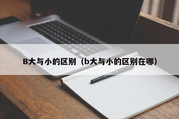 B大与小的区别(b大与小的区别在哪)