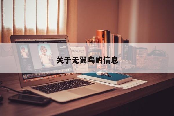关于无翼鸟的信息