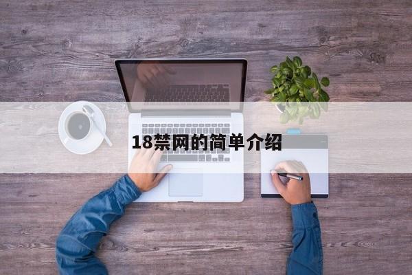 18禁网的简单介绍