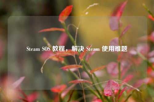 Steam SOS 教程，解决 Steam 使用难题