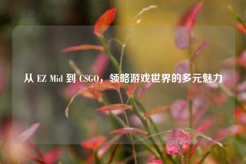 从 EZ Mid 到 CSGO，领略游戏世界的多元魅力