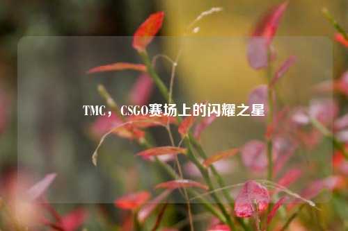 TMC，CSGO赛场上的闪耀之星