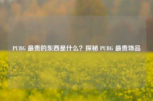 PUBG 最贵的东西是什么？探秘 PUBG 最贵饰品