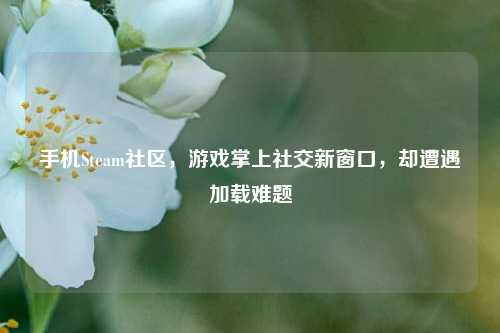 手机Steam社区，游戏掌上社交新窗口，却遭遇加载难题