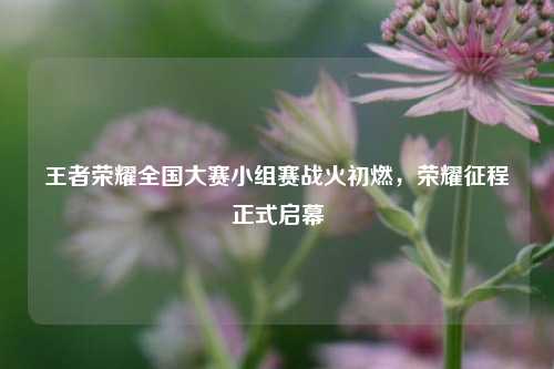 王者荣耀全国大赛小组赛战火初燃，荣耀征程正式启幕