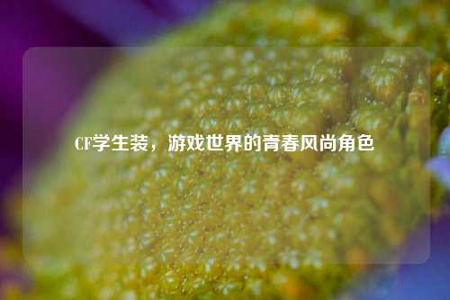 CF学生装，游戏世界的青春风尚角色