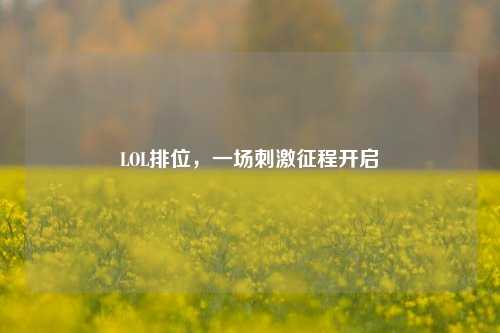 LOL排位，一场     征程开启