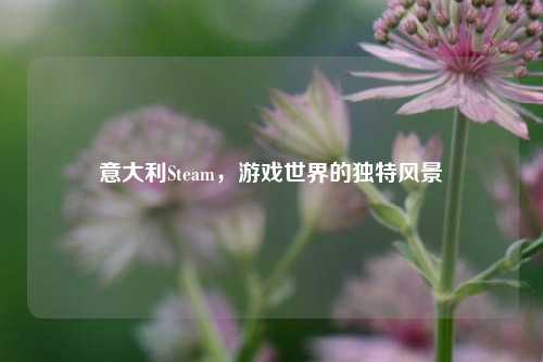 意大利Steam，游戏世界的独特风景