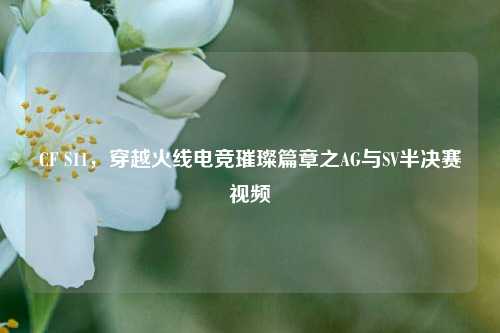 CF S11，穿越火线电竞璀璨篇章之AG与SV半决赛视频