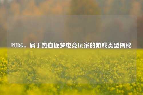 PUBG，属于热血逐梦电竞玩家的游戏类型揭秘