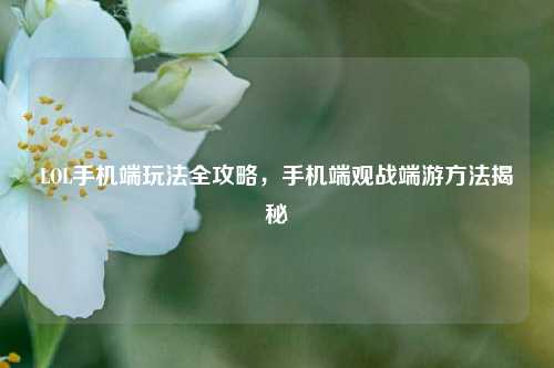 LOL手机端玩法全攻略，手机端观战端游     揭秘