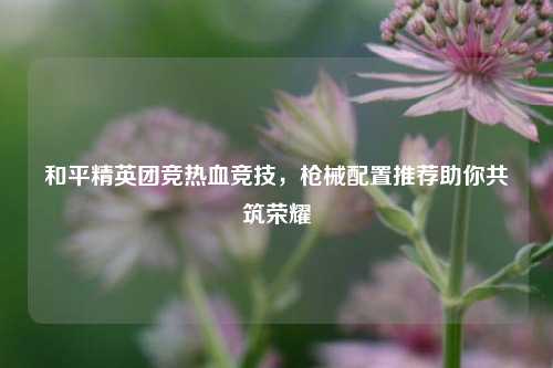 和平精英团竞热血竞技，枪械配置推荐助你共筑荣耀