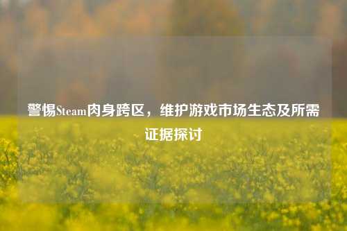 警惕Steam肉身跨区，维护游戏市场生态及所需证据探讨