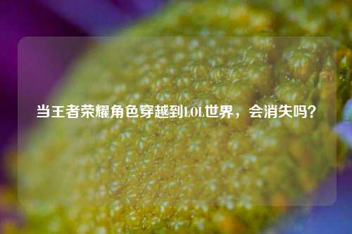 当王者荣耀角色穿越到LOL世界，会消失吗？