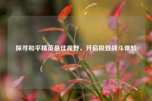 探寻和平精英更佳视野，开启极致战斗体验