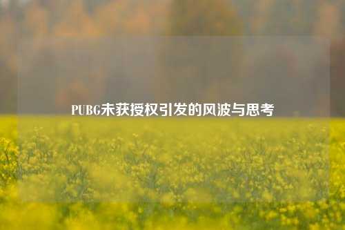 PUBG未获授权引发的风波与思考