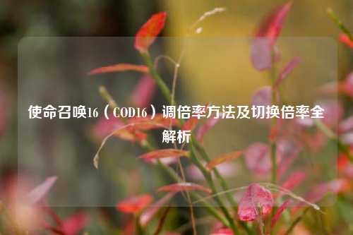 使命召唤16（COD16）调倍率     及切换倍率全解析
