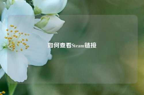 如何查看Steam链接