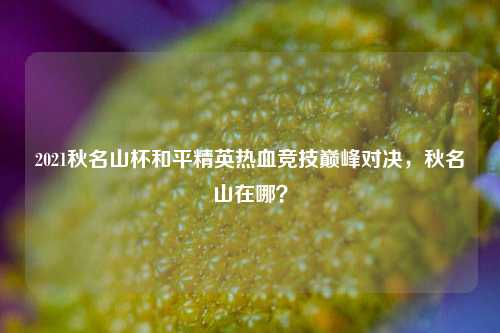 2021秋名山杯和平精英热血竞技巅峰对决，秋名山在哪？
