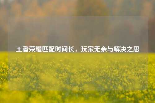 王者荣耀匹配时间长，玩家无奈与解决之思