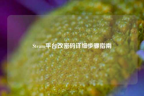 Steam平台改密码详细步骤指南