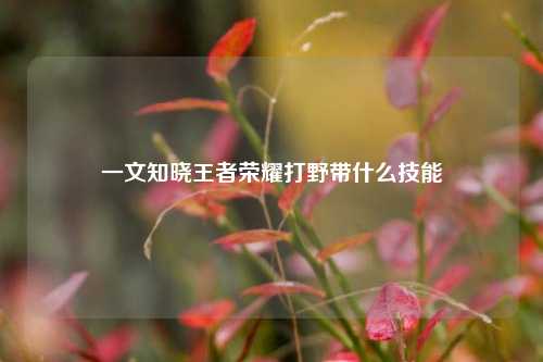 一文知晓王者荣耀打野带什么技能