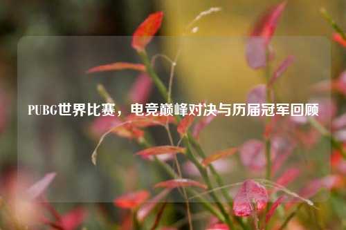 PUBG世界比赛，电竞巅峰对决与历届冠军回顾