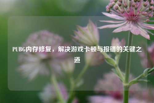 PUBG内存修复，解决游戏卡顿与报错的关键之道