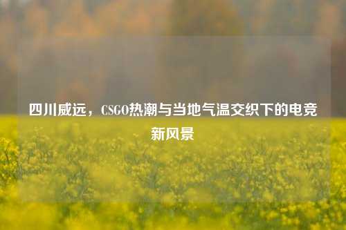 四川威远，CSGO热潮与当地气温交织下的电竞新风景