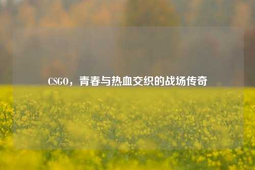 CSGO，青春与热血交织的战场传奇