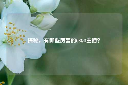 探秘，有哪些厉害的CSGO主播？