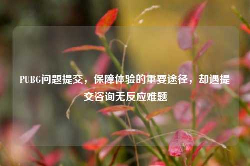 PUBG问题提交，保障体验的重要途径，却遇提交咨询无反应难题